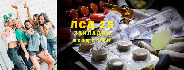 ПСИЛОЦИБИНОВЫЕ ГРИБЫ Аркадак
