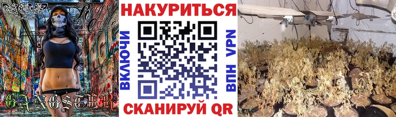 Бошки Шишки сатива Волжский